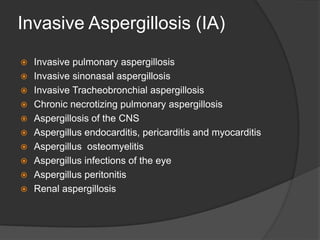 Invasive Aspergillosis (IA)
 Invasive pulmonary aspergillosis
 Invasive sinonasal aspergillosis
 Invasive Tracheobronchial aspergillosis
 Chronic necrotizing pulmonary aspergillosis
 Aspergillosis of the CNS
 Aspergillus endocarditis, pericarditis and myocarditis
 Aspergillus osteomyelitis
 Aspergillus infections of the eye
 Aspergillus peritonitis
 Renal aspergillosis
 