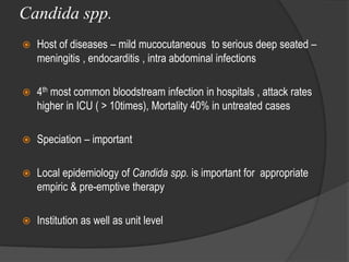Candida spp.
 Host of diseases – mild mucocutaneous to serious deep seated –
meningitis , endocarditis , intra abdominal infections
 4th most common bloodstream infection in hospitals , attack rates
higher in ICU ( > 10times), Mortality 40% in untreated cases
 Speciation – important
 Local epidemiology of Candida spp. is important for appropriate
empiric & pre-emptive therapy
 Institution as well as unit level
 