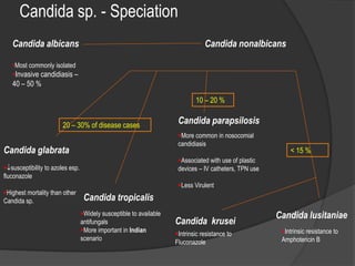 Candida sp. - Speciation
Candida albicans
•Most commonly isolated
•Invasive candidiasis –
40 – 50 %
Candida nonalbicans
Candida glabrata
Candida tropicalis
20 – 30% of disease cases
Candida parapsilosis
10 – 20 %
Candida krusei
Candida lusitaniae
< 15 %
susceptibility to azoles esp.
fluconazole
Highest mortality than other
Candida sp.
Widely susceptible to available
antifungals
More important in Indian
scenario
More common in nosocomial
candidiasis
Associated with use of plastic
devices – IV catheters, TPN use
Less Virulent
Intrinsic resistance to
Fluconazole
Intrinsic resistance to
Amphotericin B
 
