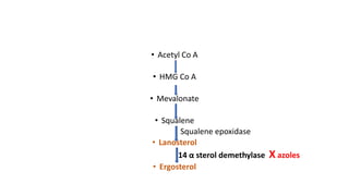 • Acetyl Co A
• HMG Co A
• Mevalonate
• Squalene
Squalene epoxidase
• Lanosterol
14 α sterol demethylase X azoles
• Ergosterol
 