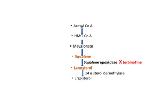 • Acetyl Co A
• HMG Co A
• Mevalonate
• Squalene
Squalene epoxidase X terbinafine
• Lanosterol
14 α sterol demethylase
• Ergosterol
 