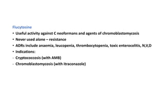 Flucytosine
• Useful activity against C neoformans and agents of chromoblastomycosis
• Never used alone – resistance
• ADRs include anaemia, leucopenia, thrombocytopenia, toxic enterocolitis, N,V,D
• Indications:
- Cryptococcosis (with AMB)
- Chromoblastomycosis (with itraconazole)
 