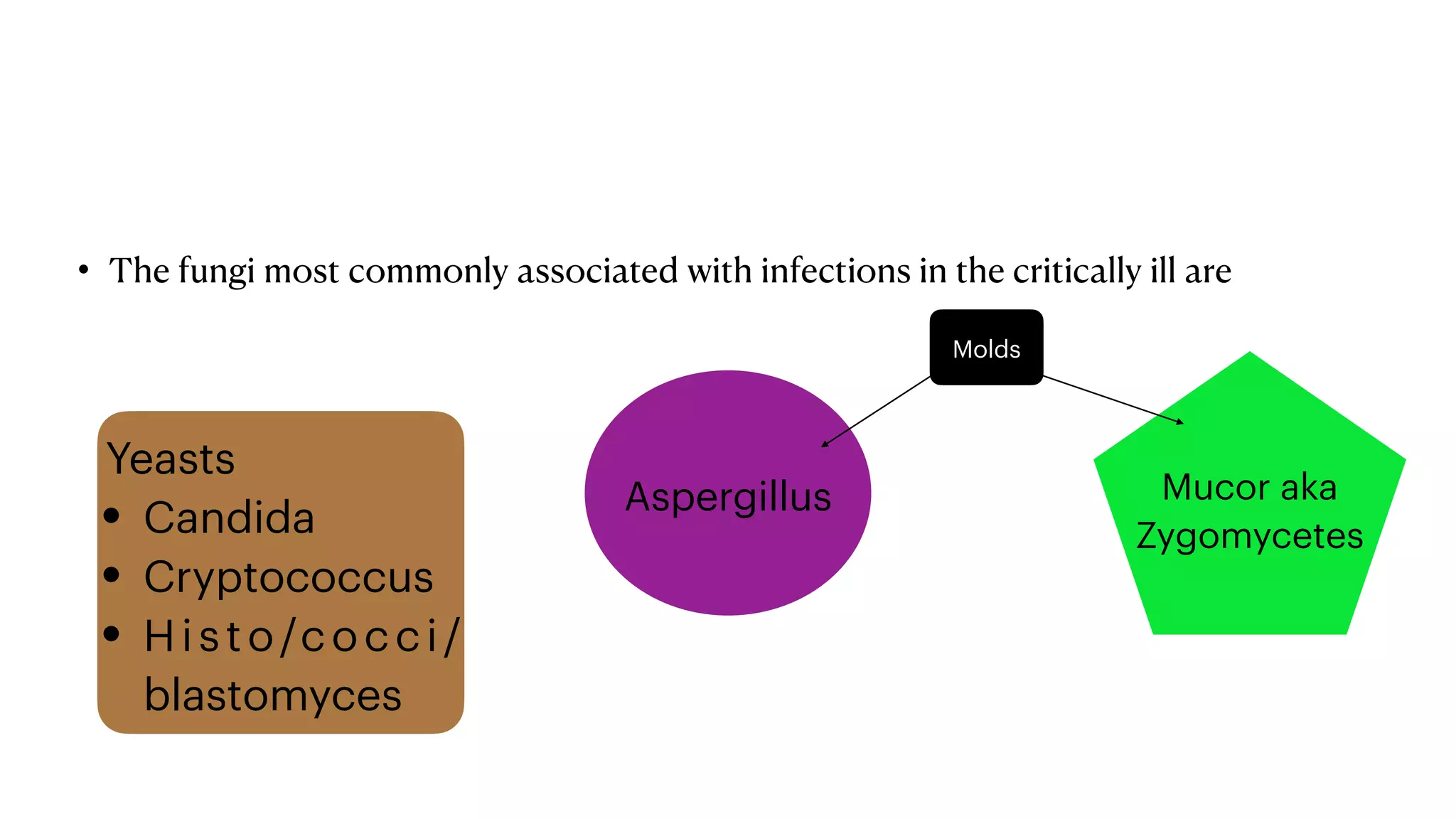 Fungal Infections in the Intensive Care Unit and Antifungals | PDF