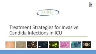 Treatment Strategies for Invasive
Candida Infections in ICU
 