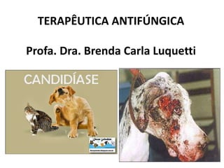 TERAPÊUTICA ANTIFÚNGICA
Profa. Dra. Brenda Carla Luquetti
 