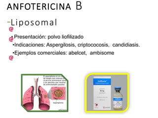 ANFOTERICINA B
-Liposomal
• Presentación: polvo liofilizado
•Indicaciones: Aspergilosis, criptococosis, candidiasis.
•Ejemplos comerciales: abelcet, ambisome
 