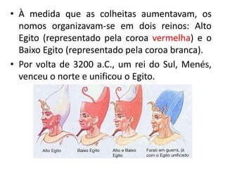 • À medida que as colheitas aumentavam, os
nomos organizavam-se em dois reinos: Alto
Egito (representado pela coroa vermelha) e o
Baixo Egito (representado pela coroa branca).
• Por volta de 3200 a.C., um rei do Sul, Menés,
venceu o norte e unificou o Egito.
 