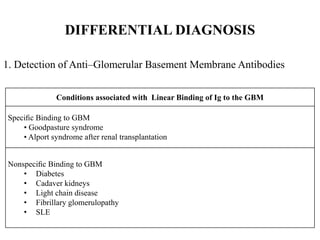 ANTI GBM DISEASE final hellllo hiiiii.pptx