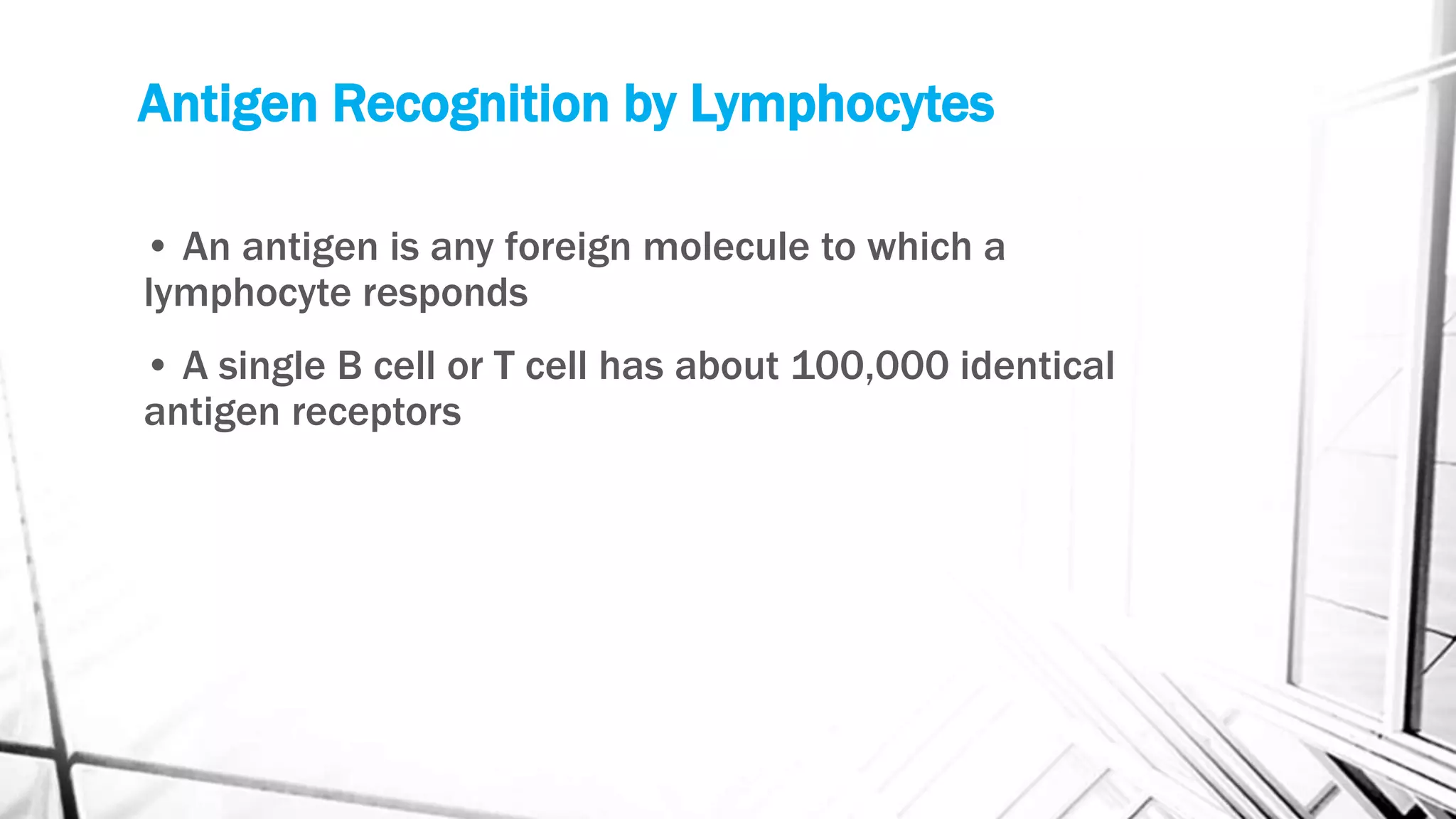 Antigen Recognition by Lymphocytes
• An antigen is any foreign molecule to which a
lymphocyte responds
• A single B cell or T cell has about 100,000 identical
antigen receptors
 