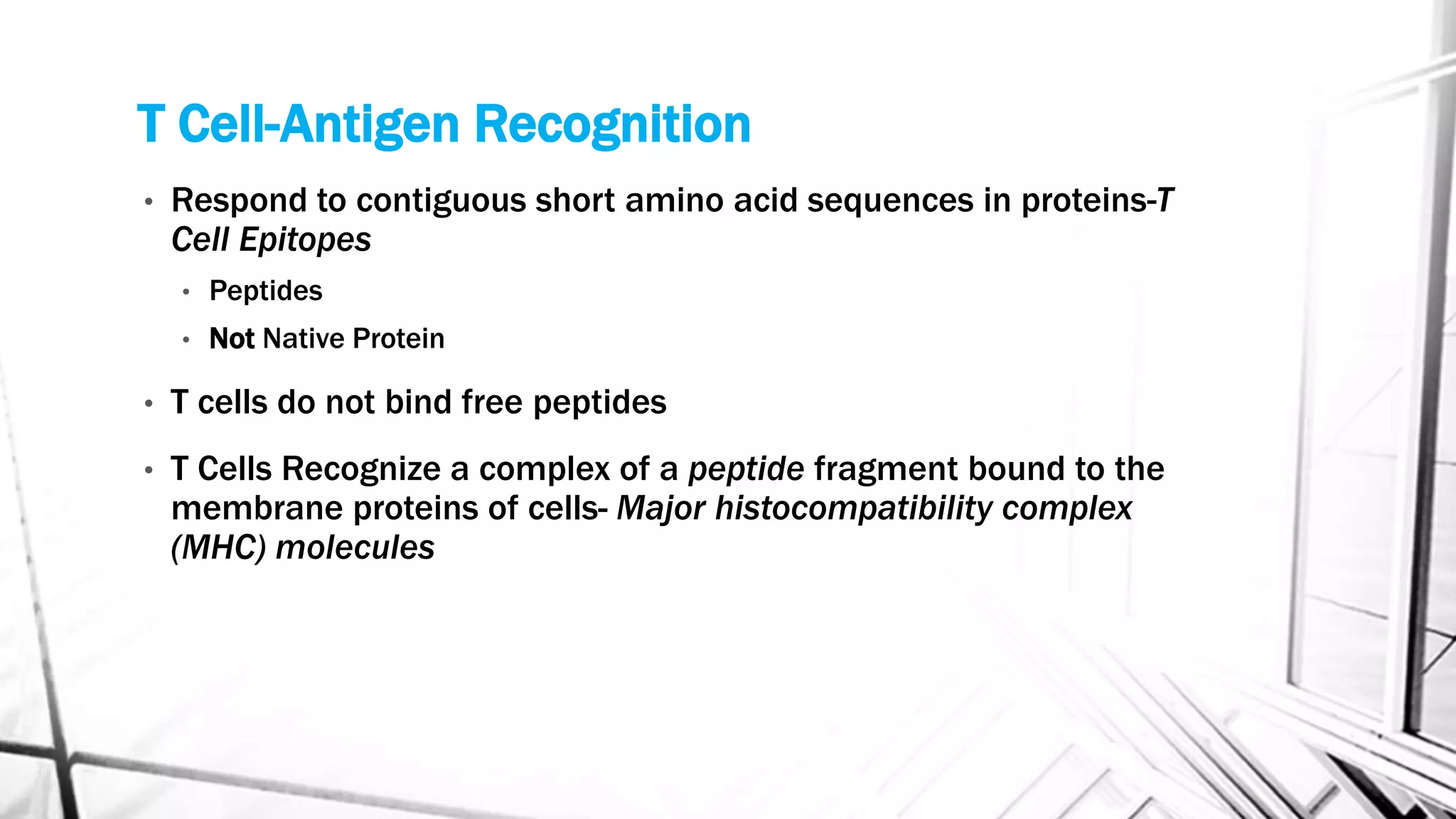 T Cell-Antigen Recognition
• Respond to contiguous short amino acid sequences in proteins-T
Cell Epitopes
• Peptides
• Not Native Protein
• T cells do not bind free peptides
• T Cells Recognize a complex of a peptide fragment bound to the
membrane proteins of cells- Major histocompatibility complex
(MHC) molecules
 