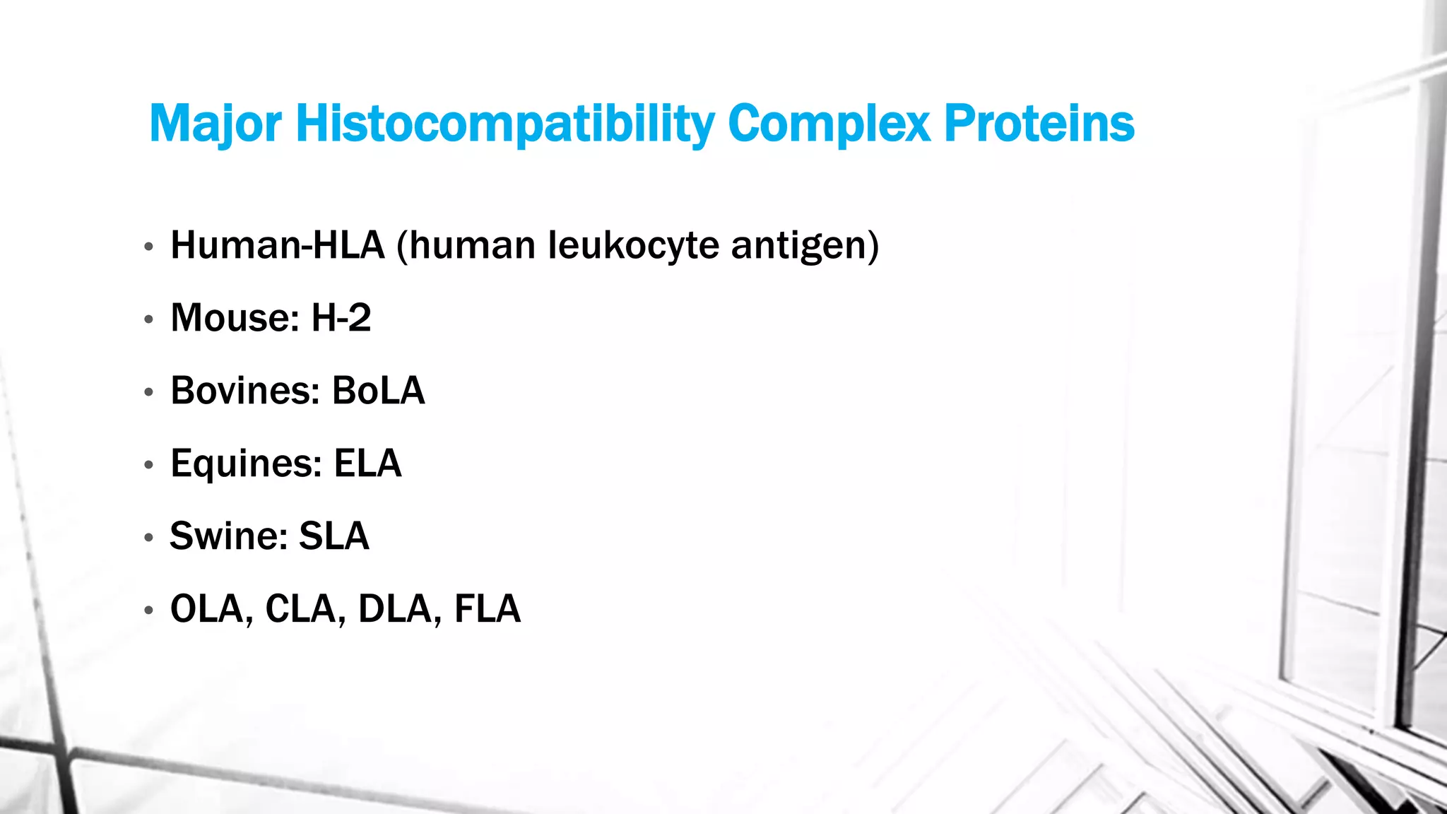 Major Histocompatibility Complex Proteins
• Human-HLA (human leukocyte antigen)
• Mouse: H-2
• Bovines: BoLA
• Equines: ELA
• Swine: SLA
• OLA, CLA, DLA, FLA
 