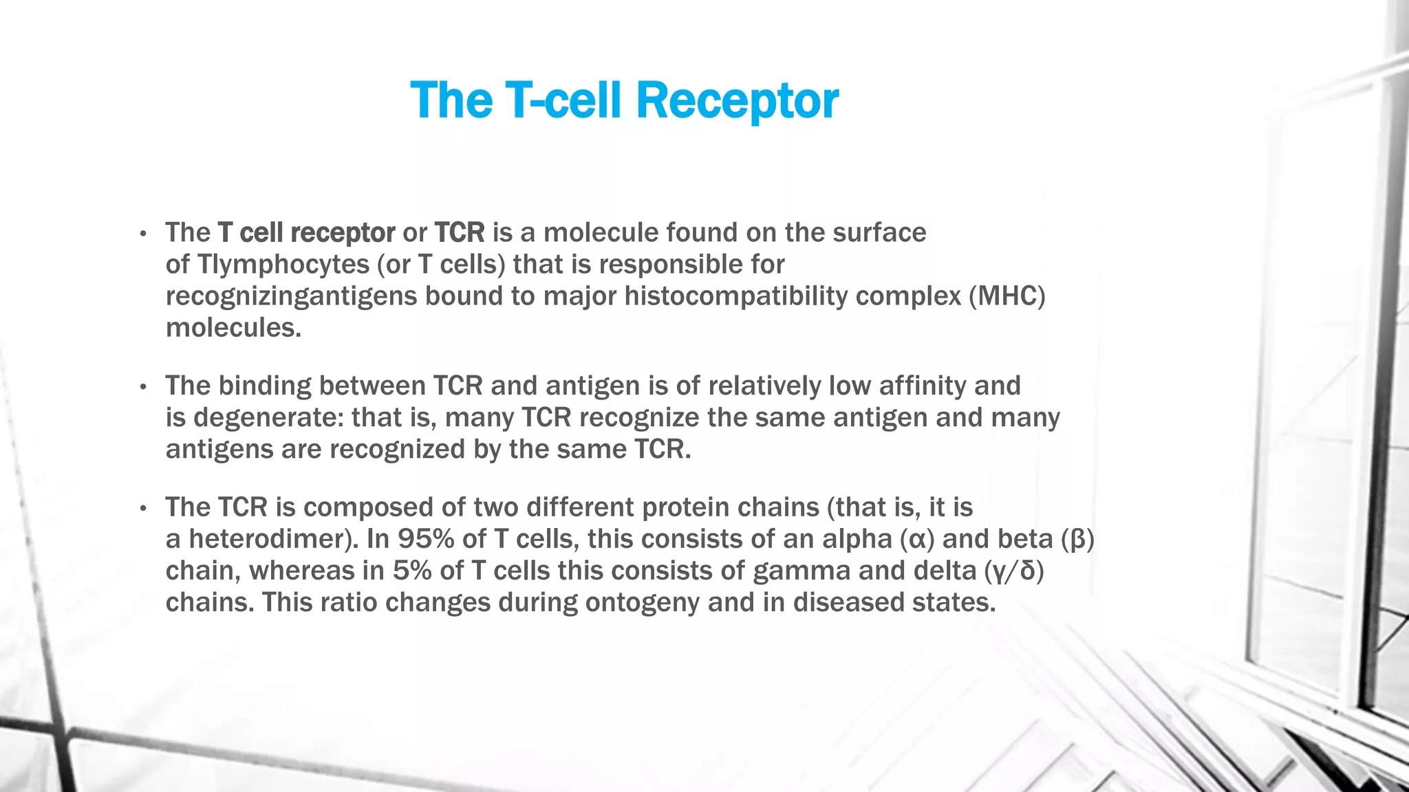 The T-cell Receptor
• The T cell receptor or TCR is a molecule found on the surface
of Tlymphocytes (or T cells) that is responsible for
recognizingantigens bound to major histocompatibility complex (MHC)
molecules.
• The binding between TCR and antigen is of relatively low affinity and
is degenerate: that is, many TCR recognize the same antigen and many
antigens are recognized by the same TCR.
• The TCR is composed of two different protein chains (that is, it is
a heterodimer). In 95% of T cells, this consists of an alpha (α) and beta (β)
chain, whereas in 5% of T cells this consists of gamma and delta (γ/δ)
chains. This ratio changes during ontogeny and in diseased states.
 
