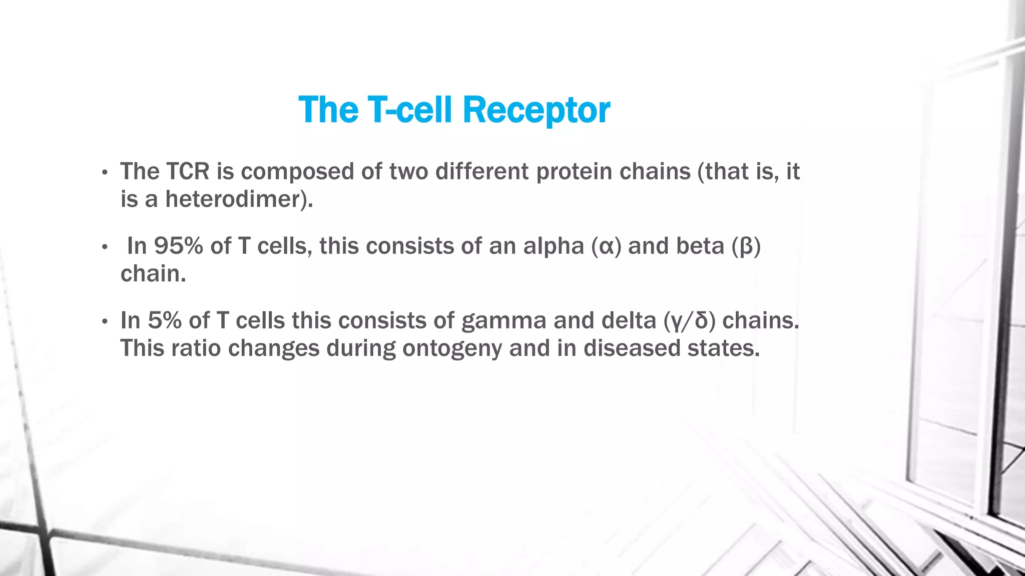 The T-cell Receptor
• The TCR is composed of two different protein chains (that is, it
is a heterodimer).
• In 95% of T cells, this consists of an alpha (α) and beta (β)
chain.
• In 5% of T cells this consists of gamma and delta (γ/δ) chains.
This ratio changes during ontogeny and in diseased states.
 
