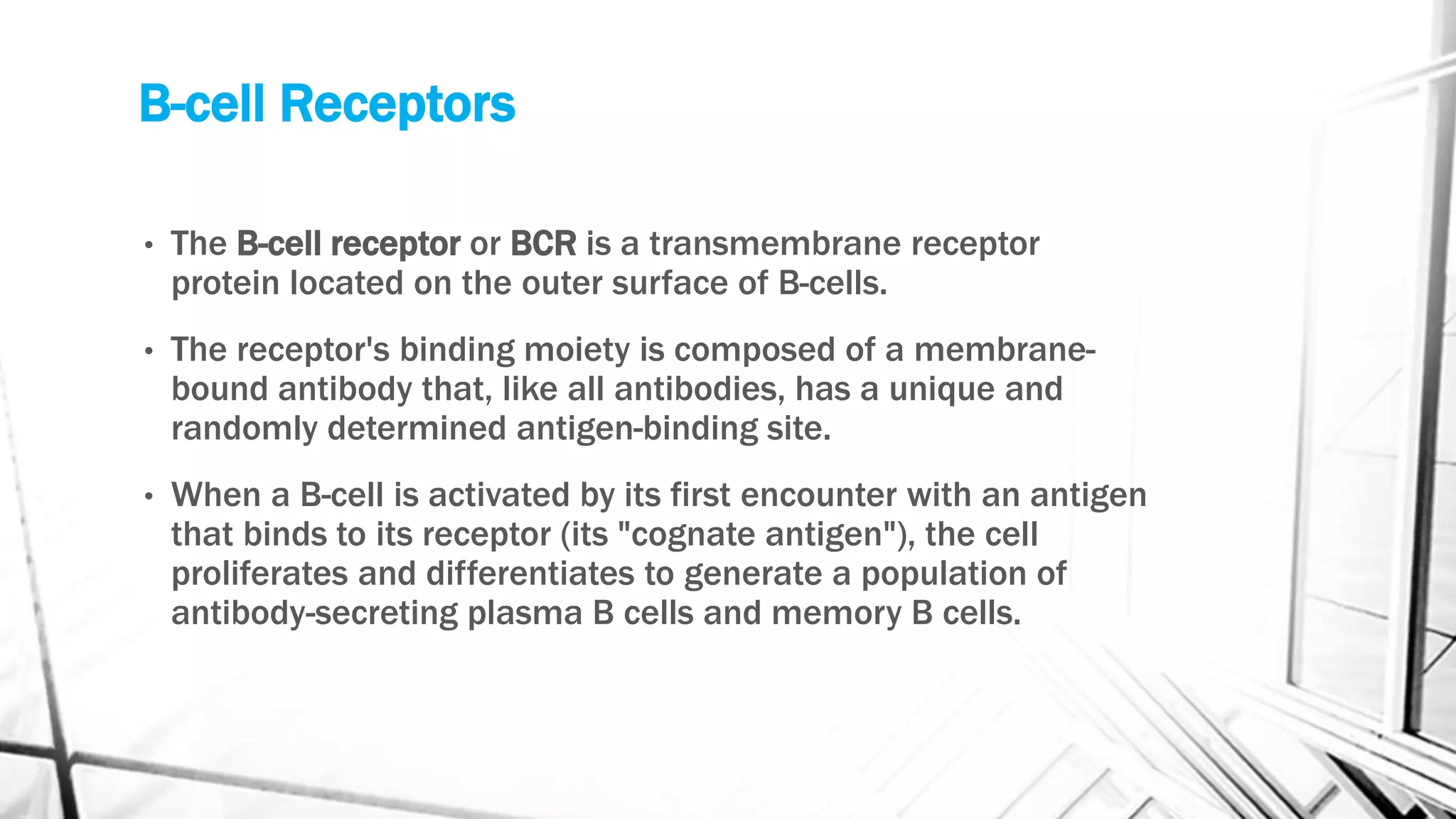 B-cell Receptors
• The B-cell receptor or BCR is a transmembrane receptor
protein located on the outer surface of B-cells.
• The receptor's binding moiety is composed of a membrane-
bound antibody that, like all antibodies, has a unique and
randomly determined antigen-binding site.
• When a B-cell is activated by its first encounter with an antigen
that binds to its receptor (its "cognate antigen"), the cell
proliferates and differentiates to generate a population of
antibody-secreting plasma B cells and memory B cells.
 