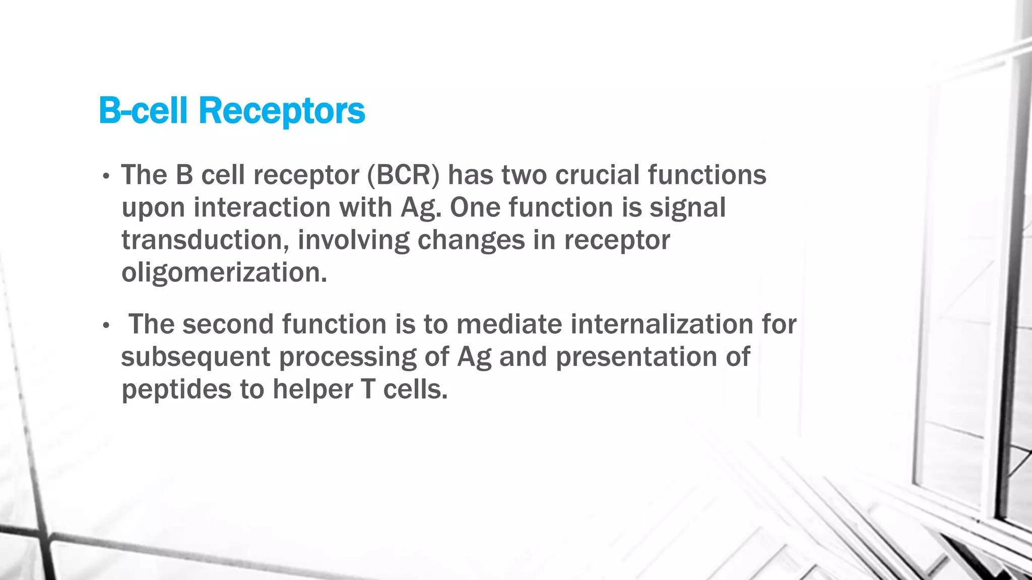 B-cell Receptors
• The B cell receptor (BCR) has two crucial functions
upon interaction with Ag. One function is signal
transduction, involving changes in receptor
oligomerization.
• The second function is to mediate internalization for
subsequent processing of Ag and presentation of
peptides to helper T cells.
 