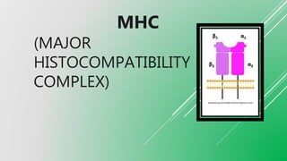 Mhn Complex Ongc Antigen | PPTX