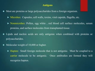 Antigens
Most are proteins or large polysaccharides from a foreign organism.
Microbes: Capsules, cell walls, toxins, viral capsids, flagella, etc.
Nonmicrobes: Pollen, egg white , red blood cell surface molecules, serum
proteins, and surface molecules from transplanted tissue.
Lipids and nucleic acids are only antigenic when combined with proteins or
polysaccharides.
Molecular weight of 10,000 or higher.
Hapten: Small foreign molecule that is not antigenic. Must be coupled to a
carrier molecule to be antigenic. Once antibodies are formed they will
recognize hapten.
