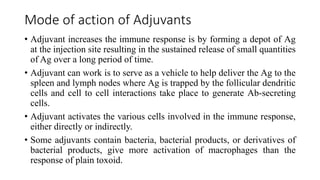 Mode of action of Adjuvants
• Adjuvant increases the immune response is by forming a depot of Ag
at the injection site resulting in the sustained release of small quantities
of Ag over a long period of time.
• Adjuvant can work is to serve as a vehicle to help deliver the Ag to the
spleen and lymph nodes where Ag is trapped by the follicular dendritic
cells and cell to cell interactions take place to generate Ab-secreting
cells.
• Adjuvant activates the various cells involved in the immune response,
either directly or indirectly.
• Some adjuvants contain bacteria, bacterial products, or derivatives of
bacterial products, give more activation of macrophages than the
response of plain toxoid.
 