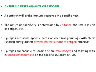 • ANTIGENIC DETERMINANTS OR EPITOPES
• An antigen will evoke immune response in a specific host.
• The antigenic specificity is determined by Epitopes, the smallest unit
of antigenicity.
• Epitopes are some specific areas or chemical groupings with steric
(spatial) configuration present on the surface of antigen molecule.
• Epitopes are capable of sensitizing an immunocyte and reacting with
its complementary site on the specific antibody or TCR.
 