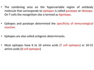 • The combining area on the hypervariable region of antibody
molecule that corresponds to epitopes is called paratope or idiotope.
On T cells the recognition site is termed as Agretope.
• Epitopes and paratope determined the specificity of immunological
reaction.
• Epitopes are also called antigenic determinants.
• Most epitopes have 6 to 10 amino acids (T cell epitopes) or 10-15
amino acids (B-cell epitopes)
 