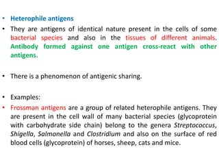 • Heterophile antigens
• They are antigens of identical nature present in the cells of some
bacterial species and also in the tissues of different animals.
Antibody formed against one antigen cross-react with other
antigens.
• There is a phenomenon of antigenic sharing.
• Examples:
• Frossman antigens are a group of related heterophile antigens. They
are present in the cell wall of many bacterial species (glycoprotein
with carbohydrate side chain) belong to the genera Streptococcus,
Shigella, Salmonella and Clostridium and also on the surface of red
blood cells (glycoprotein) of horses, sheep, cats and mice.
 