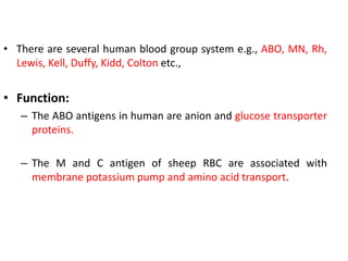 • There are several human blood group system e.g., ABO, MN, Rh,
Lewis, Kell, Duffy, Kidd, Colton etc.,
• Function:
– The ABO antigens in human are anion and glucose transporter
proteins.
– The M and C antigen of sheep RBC are associated with
membrane potassium pump and amino acid transport.
 