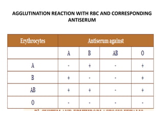 AGGLUTINATION REACTION WITH RBC AND CORRESPONDING
ANTISERUM
 