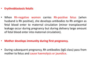 • Erythroblastosis fetalis
• When Rh-negative women carries Rh-positive fetus (when
husband is Rh positive), she develops antibodies to Rh antigen as
fetal blood enter to maternal circulation (minor transplacental
leakage occur during pregnancy but during delivery large amount
of fetal blood enter into maternal circulation).
• Mother develops immunity during first pregnancy.
• During subsequent pregnancy, Rh antibodies (IgG class) pass from
mother to fetus and cause haemolysis or jaundice.
 