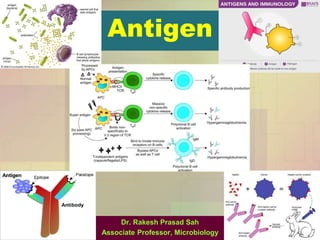 Antigen
Dr. Rakesh Prasad Sah
Associate Professor, Microbiology
 