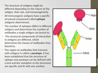 what are antigens? Significance and interaction with human body. | PPTX