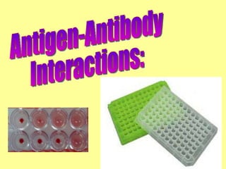 Antigen-Antibody Interactions: 