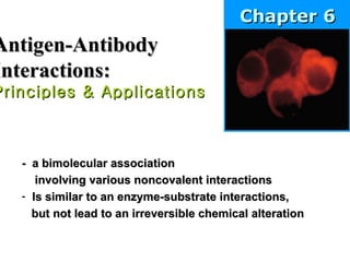 Antigen-Antibody Interactions: Principles & Applications ,[object Object],[object Object],[object Object],[object Object],Chapter 6 