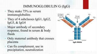ANTIGEN-ANTIBODY.pptx