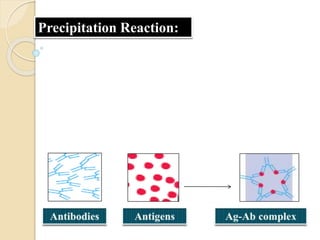 Precipitation Reaction:
 