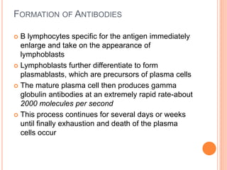 FORMATION OF ANTIBODIES
 B lymphocytes specific for the antigen immediately
enlarge and take on the appearance of
lymphoblasts
 Lymphoblasts further differentiate to form
plasmablasts, which are precursors of plasma cells
 The mature plasma cell then produces gamma
globulin antibodies at an extremely rapid rate-about
2000 molecules per second
 This process continues for several days or weeks
until finally exhaustion and death of the plasma
cells occur
 