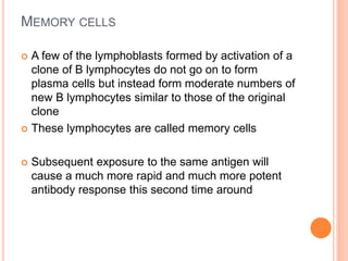 MEMORY CELLS
 A few of the lymphoblasts formed by activation of a
clone of B lymphocytes do not go on to form
plasma cells but instead form moderate numbers of
new B lymphocytes similar to those of the original
clone
 These lymphocytes are called memory cells
 Subsequent exposure to the same antigen will
cause a much more rapid and much more potent
antibody response this second time around
 
