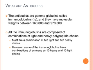 WHAT ARE ANTIBODIES
 The antibodies are gamma globulins called
immunoglobulins (Ig), and they have molecular
weights between 160,000 and 970,000
 All the immunoglobulins are composed of
combinations of light and heavy polypeptide chains
 Most are a combination of two light and two heavy
chains
 However, some of the immunoglobulins have
combinations of as many as 10 heavy and 10 light
chains
 