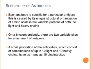 SPECIFICITY OF ANTIBODIES
 Each antibody is specific for a particular antigen;
this is caused by its unique structural organization
of amino acids in the variable portions of both the
light and heavy chains
 On a bivalent antibody, there are two variable sites
for attachment of antigens
 A small proportion of the antibodies, which consist
of combinations of up to 10 light and 10 heavy
chains, have as many as 10 binding sites
 