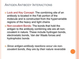 ANTIGEN ANTIBODY INTERACTIONS
 Lock and Key Concept- The combining site of an
antibody is located in the Fab portion of the
molecule and is constructed from the hypervariable
regions of the heavy and light chains
 Non-covalent Bonds- The bonds that hold the
antigen to the antibody combining site are all non-
covalent in nature. These include hydrogen bonds,
electrostatic bonds, Van der Waals forces and
hydrophobic bonds
 Since antigen-antibody reactions occur via non-
covalent bonds, they are by their nature reversible
 