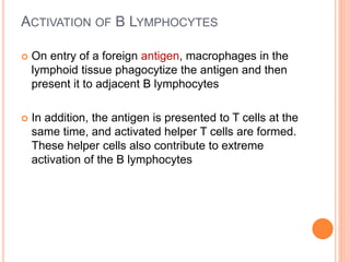 ACTIVATION OF B LYMPHOCYTES
 On entry of a foreign antigen, macrophages in the
lymphoid tissue phagocytize the antigen and then
present it to adjacent B lymphocytes
 In addition, the antigen is presented to T cells at the
same time, and activated helper T cells are formed.
These helper cells also contribute to extreme
activation of the B lymphocytes
 