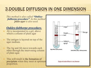 3.DOUBLE DIFFUSION IN ONE DIMENSION
This method is also called “Oakley-
fulthorpe procedure”. In this method
plain agar is also used.
Oakley-fulthorpe procedure.
 Ab is incorporated in a gel, above
which a column of plain agar
 The antigen is layered on top of the
agar medium.
 The Ag and Ab move towards each
other through the intervening column
of plain agar.
 This will result in the formation of
precipitate when they meet at optimum
proportion.
 