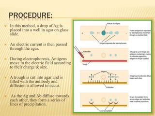 PROCEDURE:
 In this method, a drop of Ag is
placed into a well in agar on glass
slide.
 An electric current is then passed
through the agar.
 During electrophoresis, Antigens
move in the electric field according
to their charge & size.
 A trough is cut into agar and is
filled with the antibody and
diffusion is allowed to occur.
 As the Ag and Ab diffuse towards
each other, they form a series of
lines of precipitation.
 