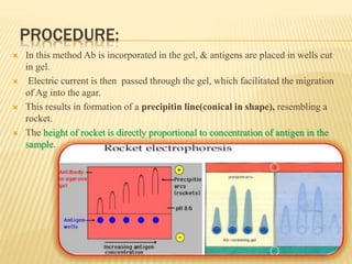PROCEDURE:
 In this method Ab is incorporated in the gel, & antigens are placed in wells cut
in gel.
 Electric current is then passed through the gel, which facilitated the migration
of Ag into the agar.
 This results in formation of a precipitin line(conical in shape), resembling a
rocket.
 The height of rocket is directly proportional to concentration of antigen in the
sample.
 