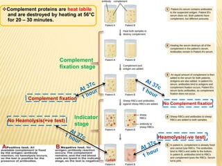 Complement
fixation stage
Indicator
stage
Complement fixation
No Complement fixation
Complement proteins are heat labile
and are destroyed by heating at 56°C
for 20 – 30 minutes.
A B
Heamolysis(-ve test)
No Heamolysis(+ve test)
 