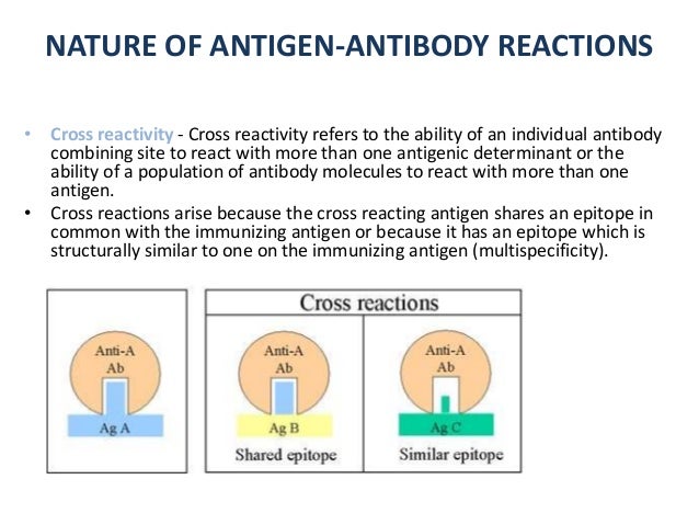 Antigen Antibody Reactions