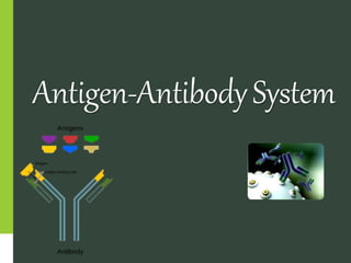 Antigen-AntibodySystem
 