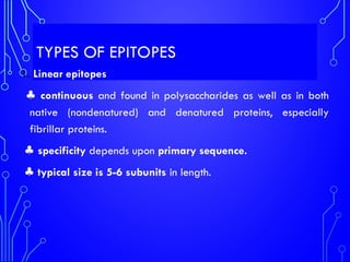 TYPES OF EPITOPES
1. Linear epitopes
♣ continuous and found in polysaccharides as well as in both
native (nondenatured) and denatured proteins, especially
fibrillar proteins.
♣ specificity depends upon primary sequence.
♣ typical size is 5-6 subunits in length.
 