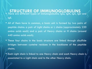 STRUCTURE OF IMMUNOGLOBULINS
• There are different types of immunoglobulins: IgG, IgM, IgA, IgD and
IgE.
• All of them have in common, a basic unit is formed by two pairs of
peptide chains: a pair of Light chains or L chains (approximately 220
amino acids each) and a pair of Heavy chains or H chains (around
440 amino acids each).
• These four chains in the basic structure are linked through disulfide
bridges between cysteine residues in the backbone of the peptide
chains.
• Each Light chain is linked to one Heavy chain and each Heavy chain is
associated to a Light chain and to the other Heavy chain.
 