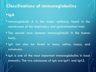 Classifications of immunoglobulins
•IgA
• Immunoglobulin A is the major antibody found in the
membranes of the respiratory and gastrointestinal tract.
• The second most common immunoglobulin in the human
body.
• IgA can also be found in tears, saliva, mucus, and
colostrums.
• IgA is one of the most important immonoglobulins in local
immunity. The two subclasses of IgA are IgA1 and IgA2.
 