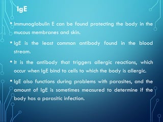 IgE
• Immunoglobulin E can be found protecting the body in the
mucous membranes and skin.
• IgE is the least common antibody found in the blood
stream.
• It is the antibody that triggers allergic reactions, which
occur when IgE bind to cells to which the body is allergic.
• IgE also functions during problems with parasites, and the
amount of IgE is sometimes measured to determine if the
body has a parasitic infection.
 